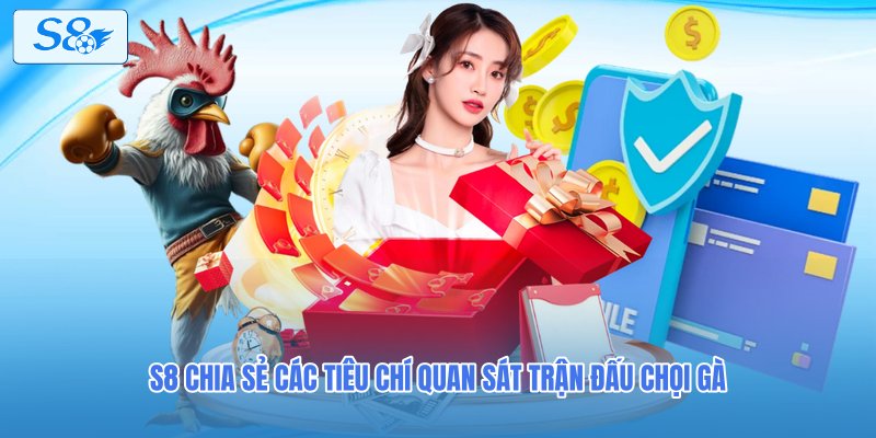 S8 chia sẻ các tiêu chí quan sát trận đấu chọi gà
